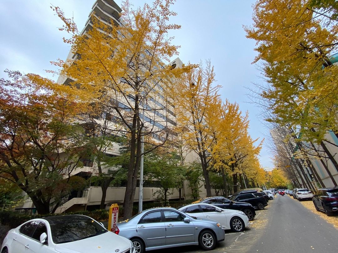 상속 아파트, 단지 내 유사매매사례보다 낮게 감정평가할 수 있을까요?